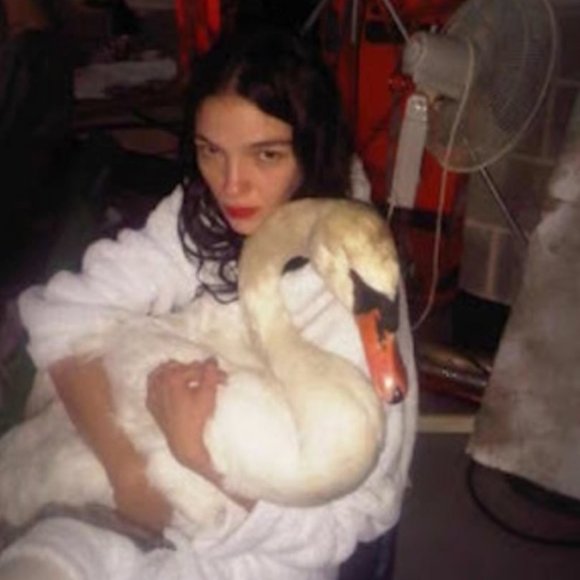 Meet your Posher, Raymond - Picture 1 of 1